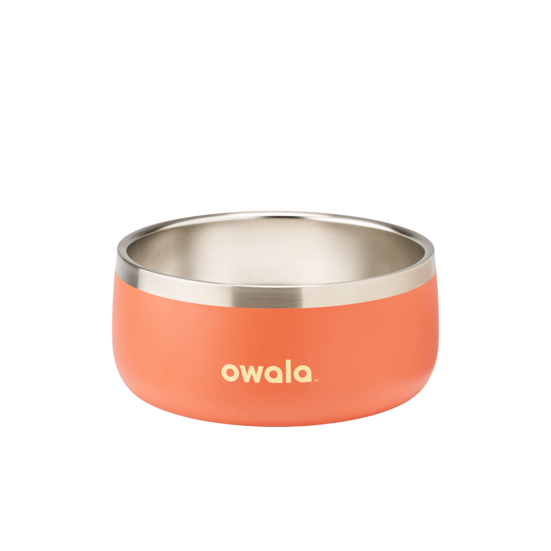 Pet Bowl 4RD