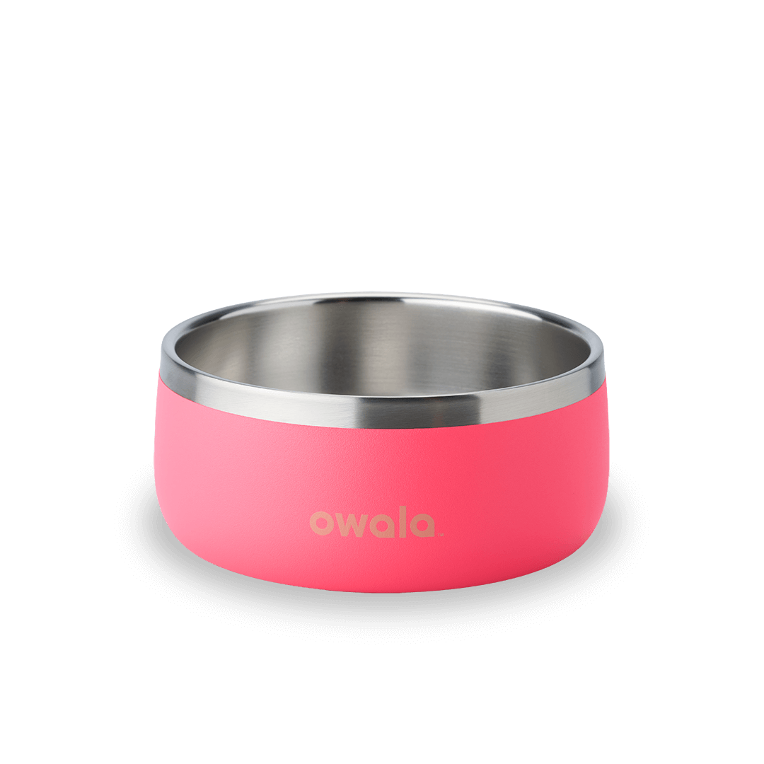 Pet Bowl 4RD
