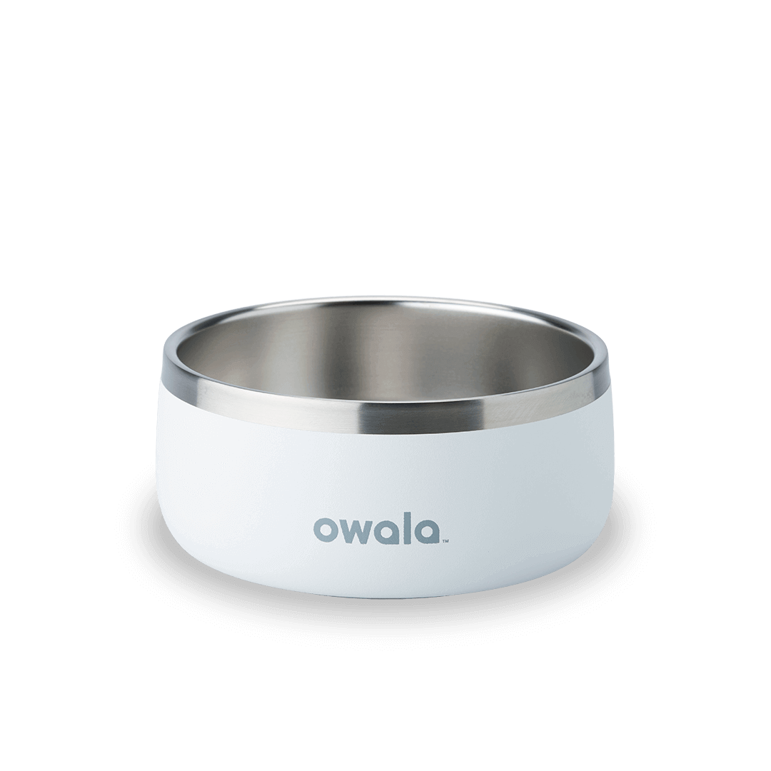 Pet Bowl 4RD