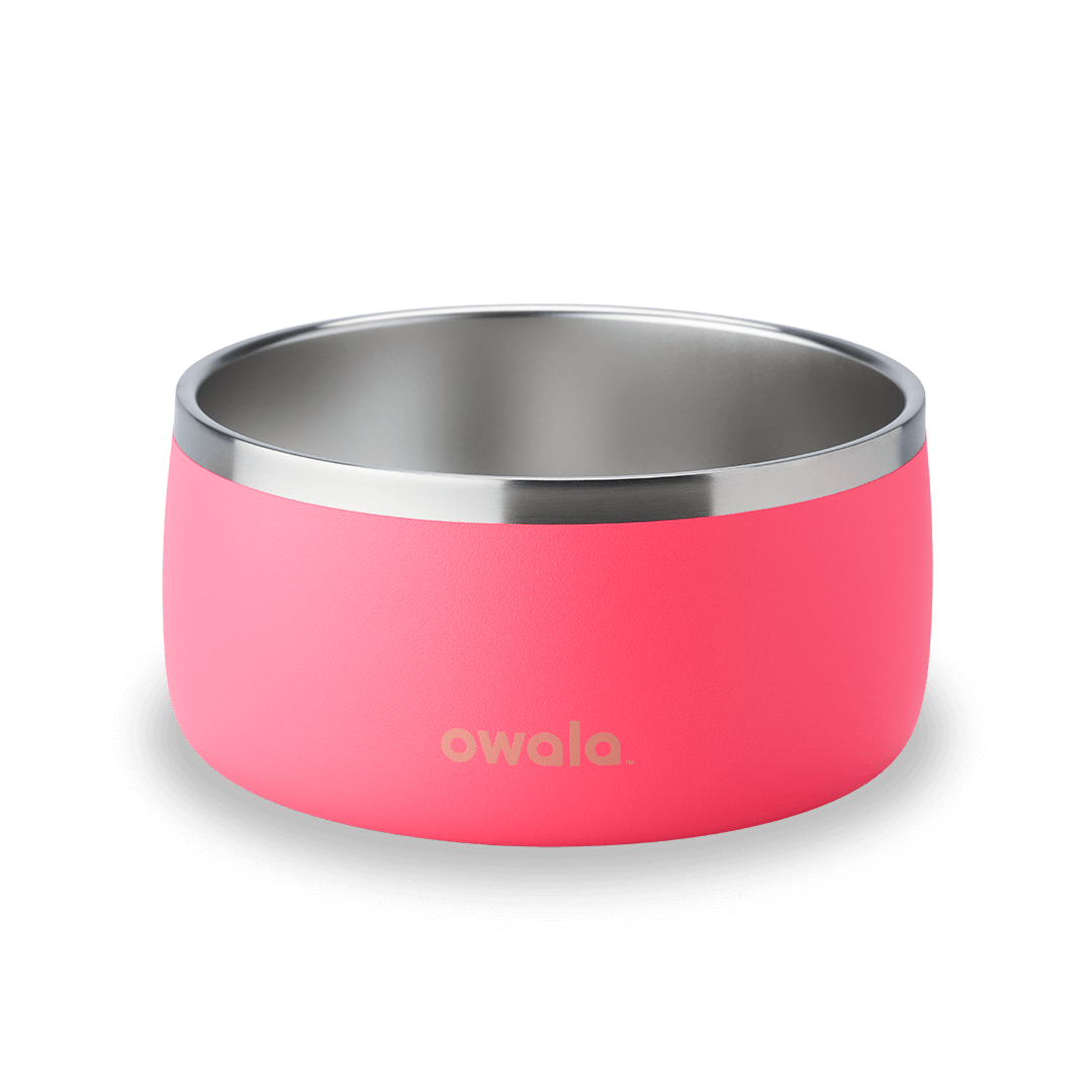 Pet Bowl 4RD
